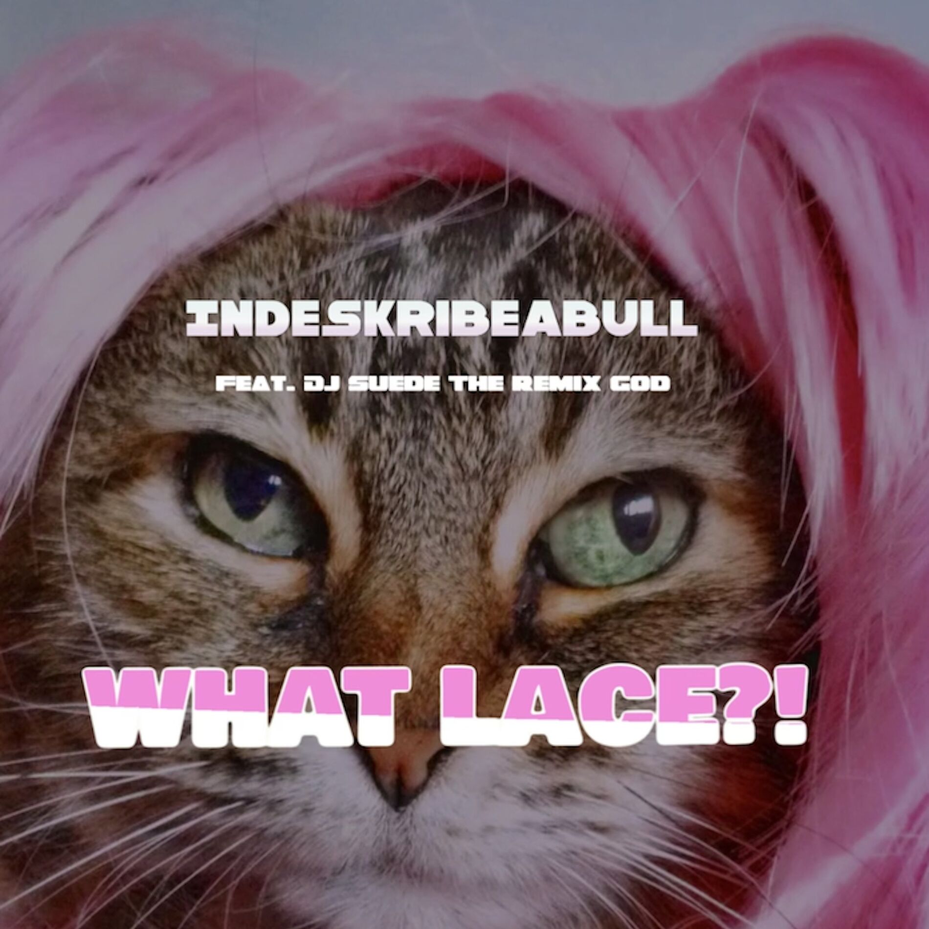 Album cover of What Lace (feat. DJ Suede The Remix God)
