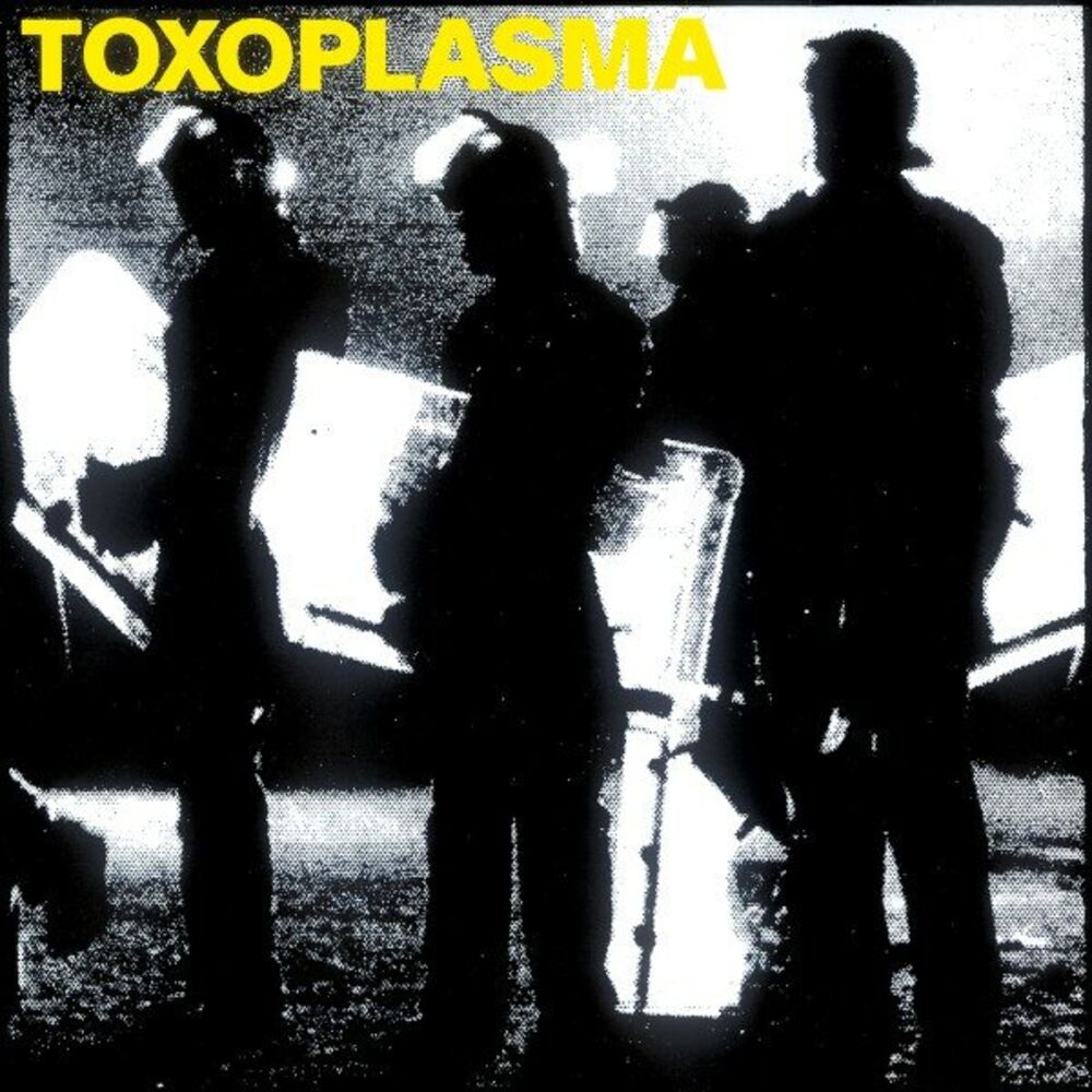 Picture of Toxoplasma