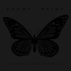 Cover of Black Butterfly