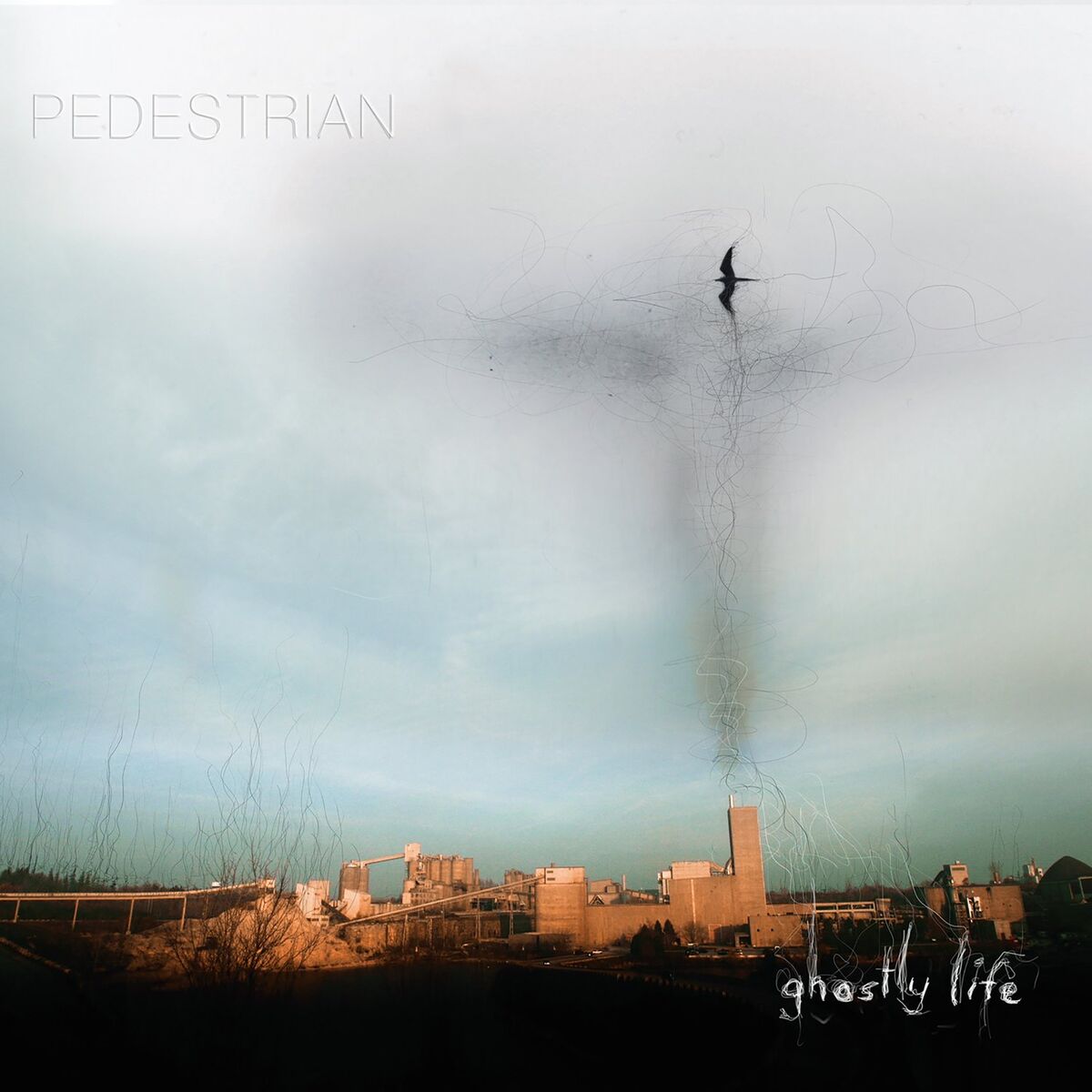 Album cover of Playing God