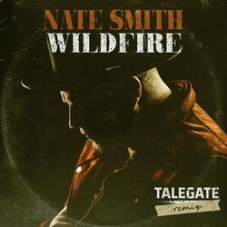 Cover of Wildfire (Talegate Remix)