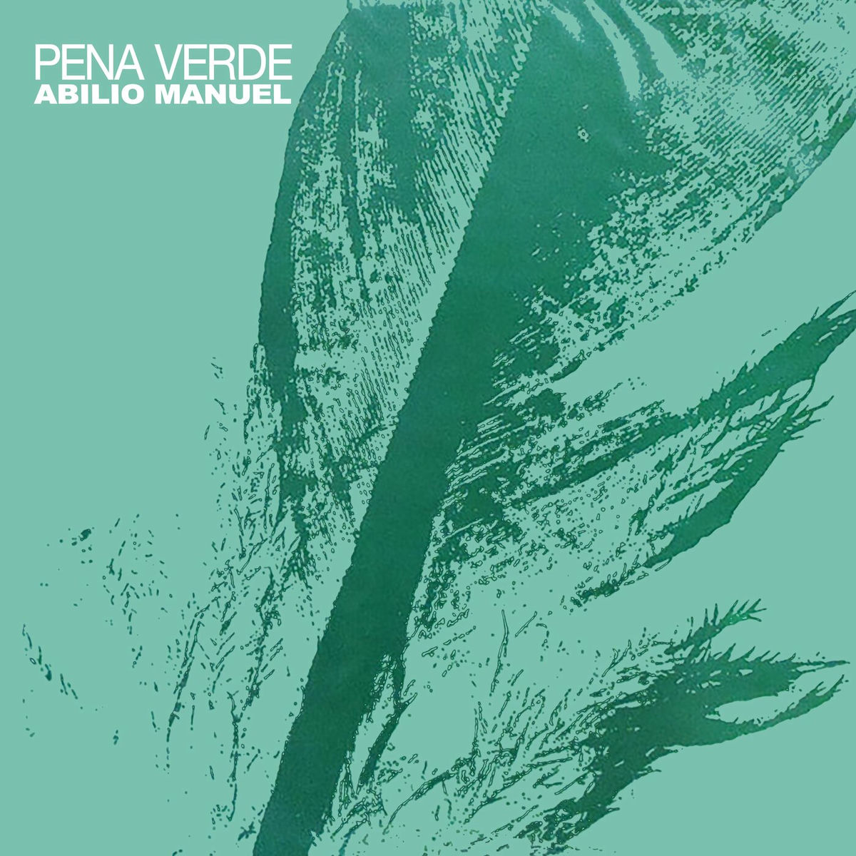 Album cover of Pena Verde