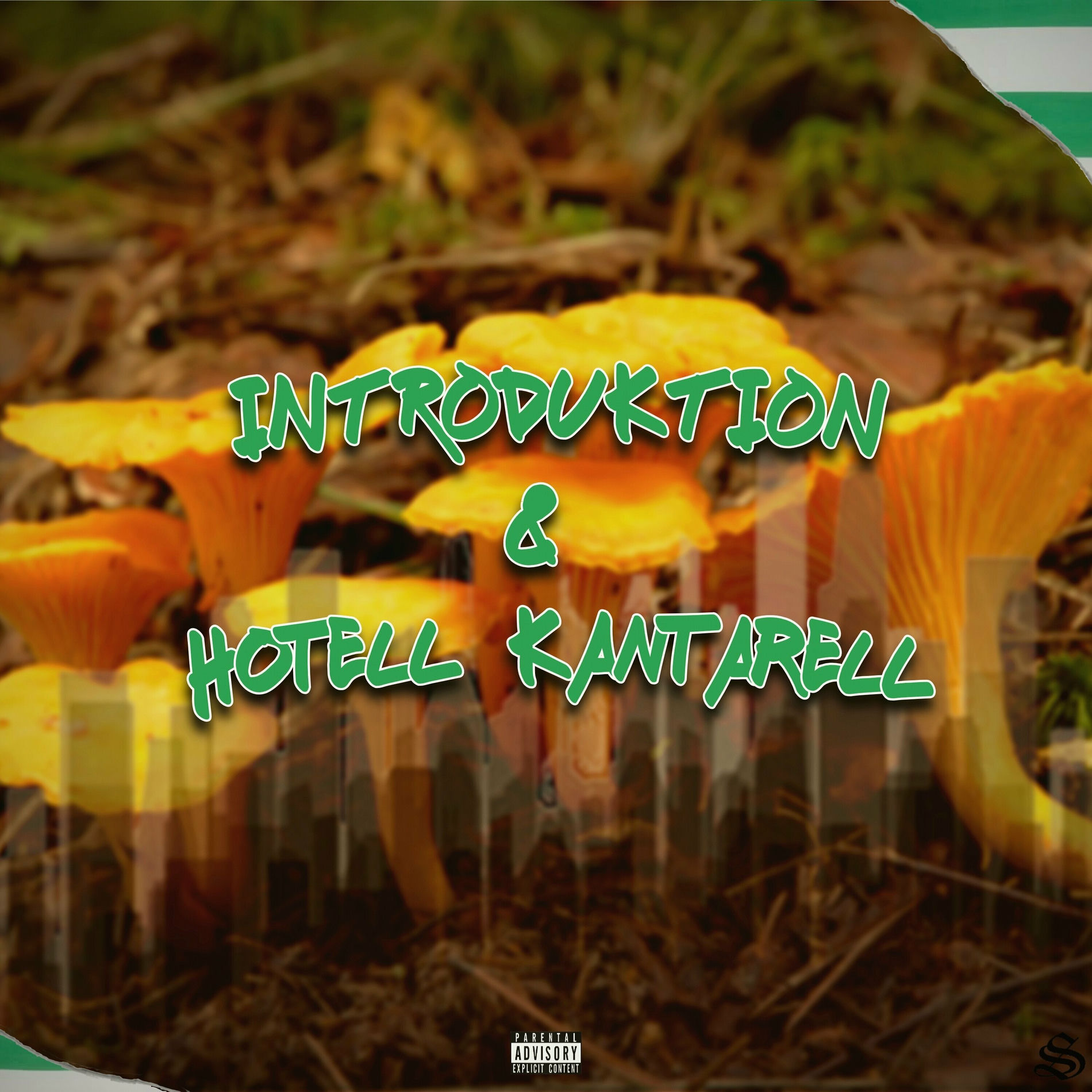 Album cover of Introduktion & Hotell Kantarell