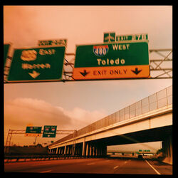 Cover of Because of Toledo