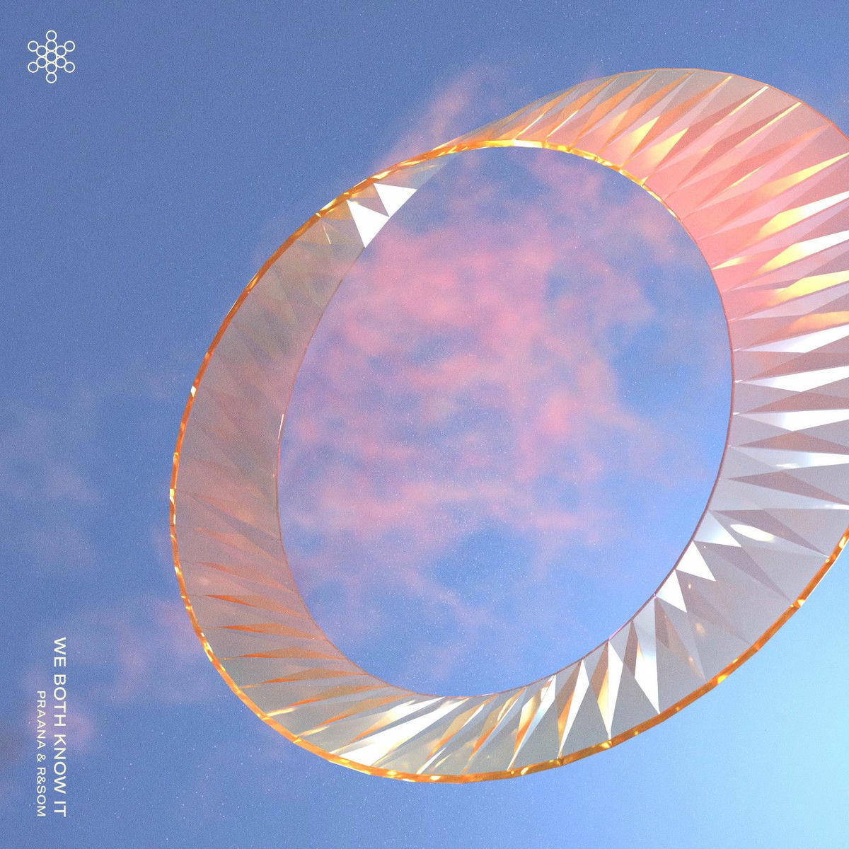 Album cover of We Both Know It