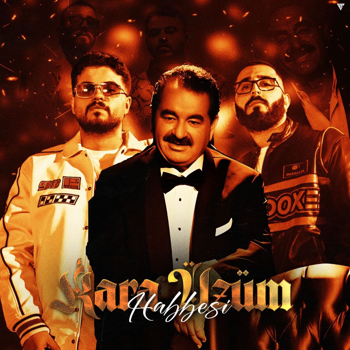 Album cover of Kara Üzüm Habbesi