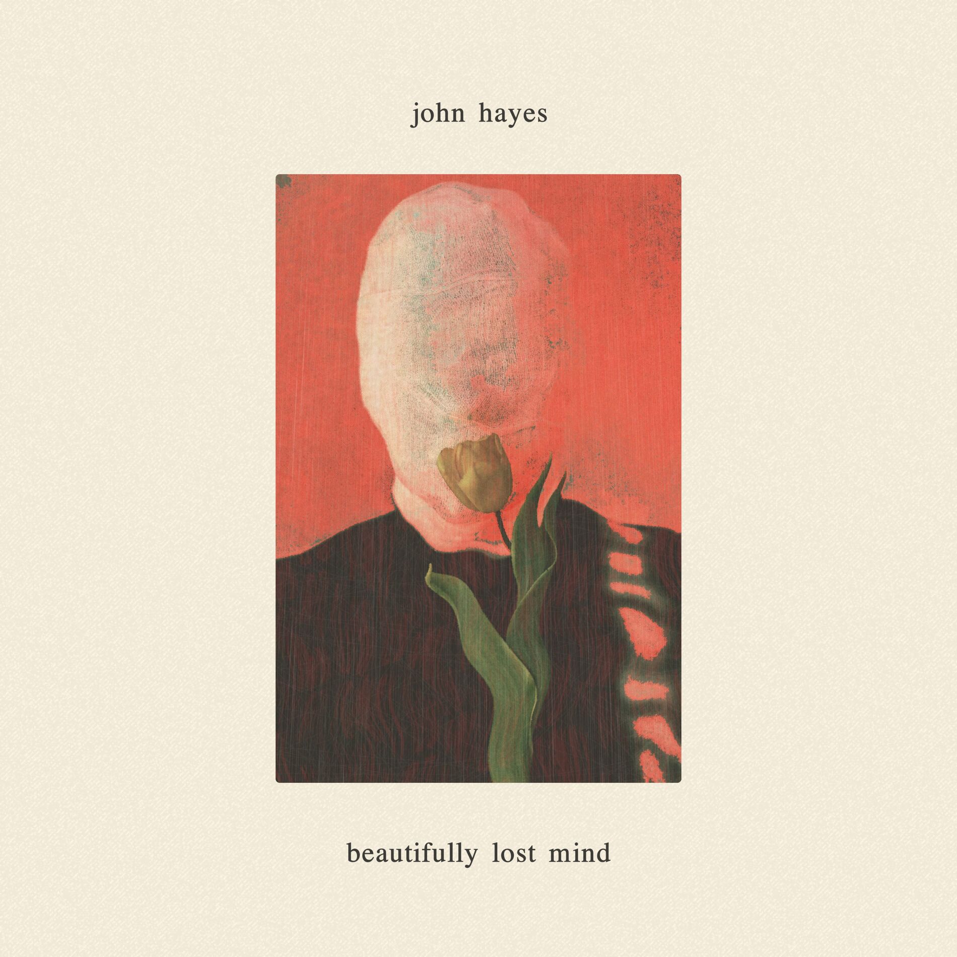 Album cover of Beautifully Lost Mind