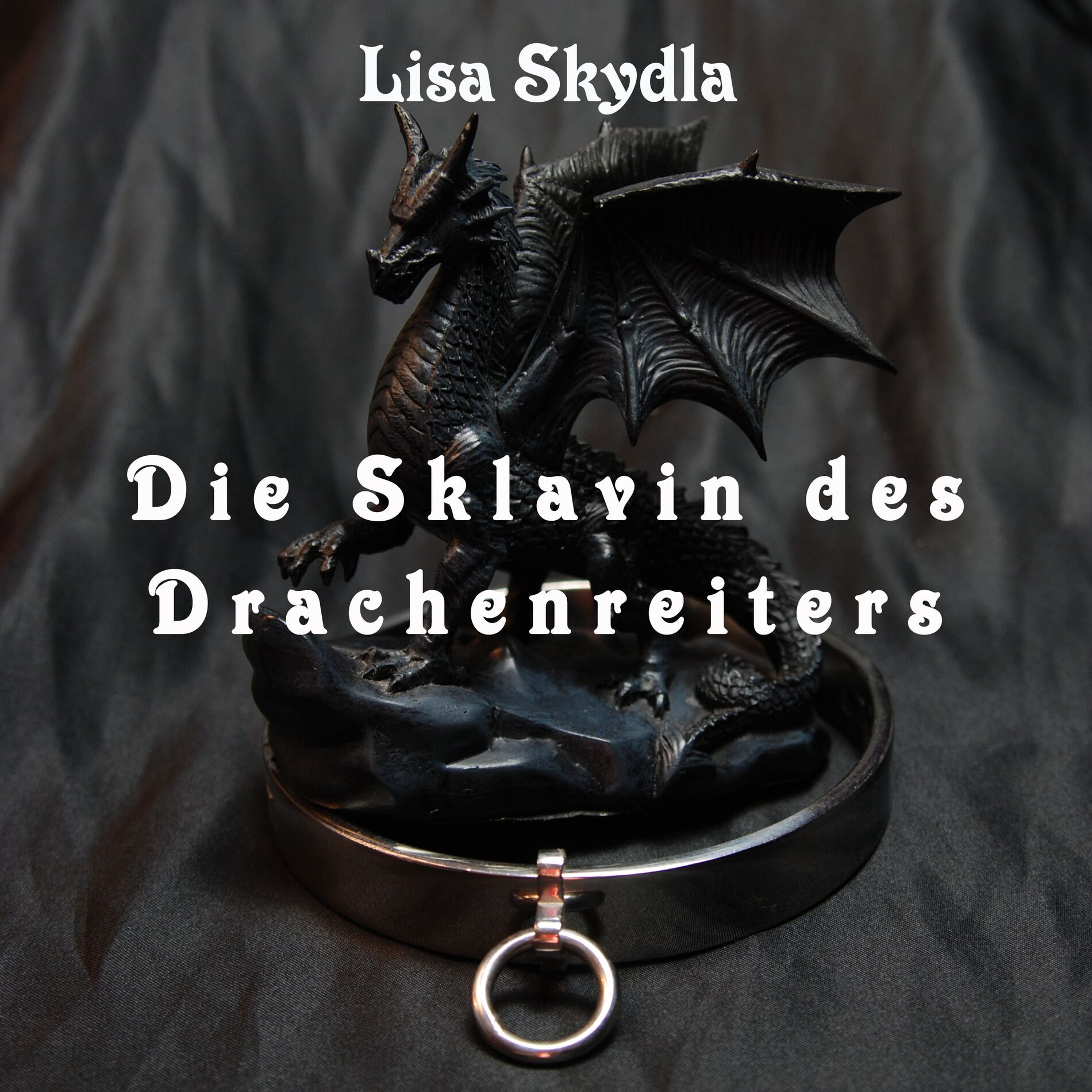 Album cover of Die Sklavin des Drachenreiters