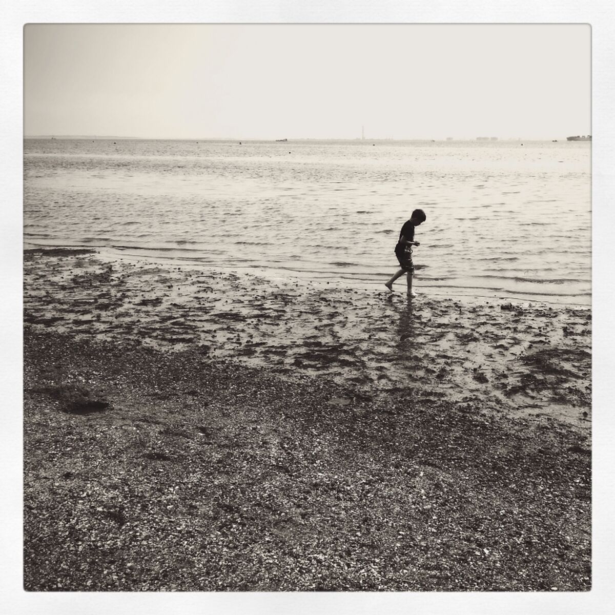 Album cover of Anchorage