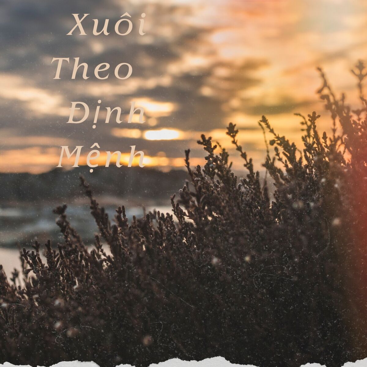 Album cover of Xuôi Theo Định Mệnh