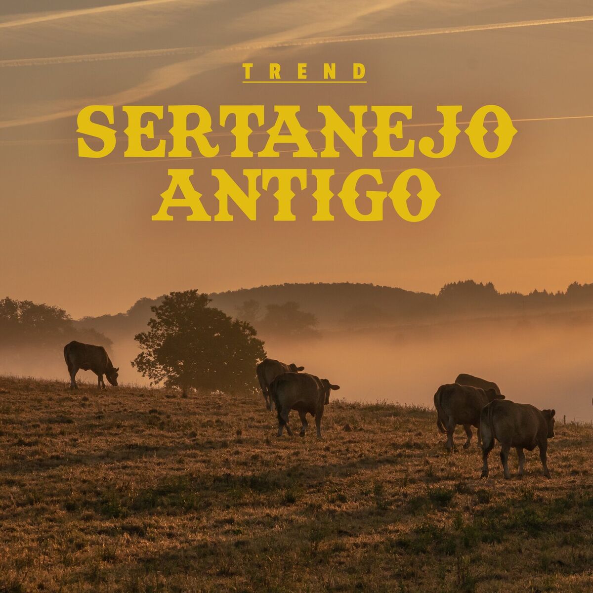 Album cover of Trend Sertanejo Antigo