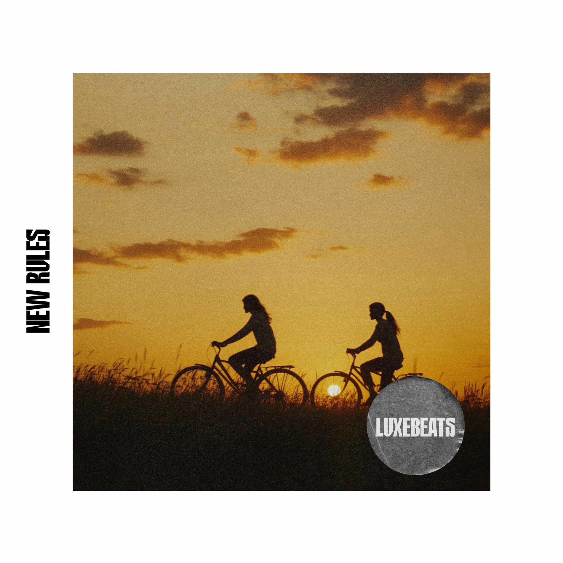 Album cover of New Rules
