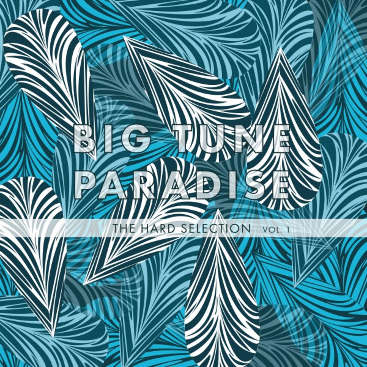 Album cover of Big Tune Paradise - The Hard Selection, Vol. 1