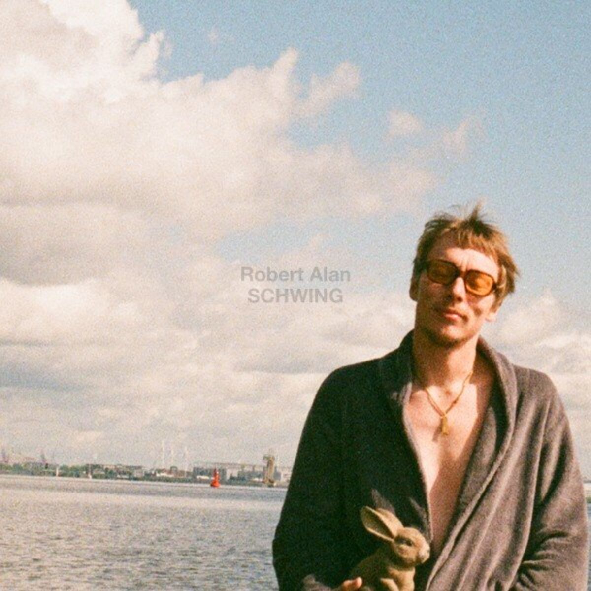 Album cover of Schwing