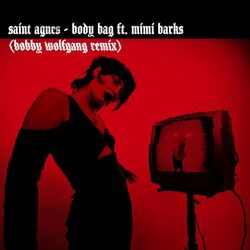 Cover of Body Bag feat. Mimi Barks (Bobby Wolfgang Remix)