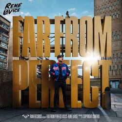 Cover of Far from Perfect