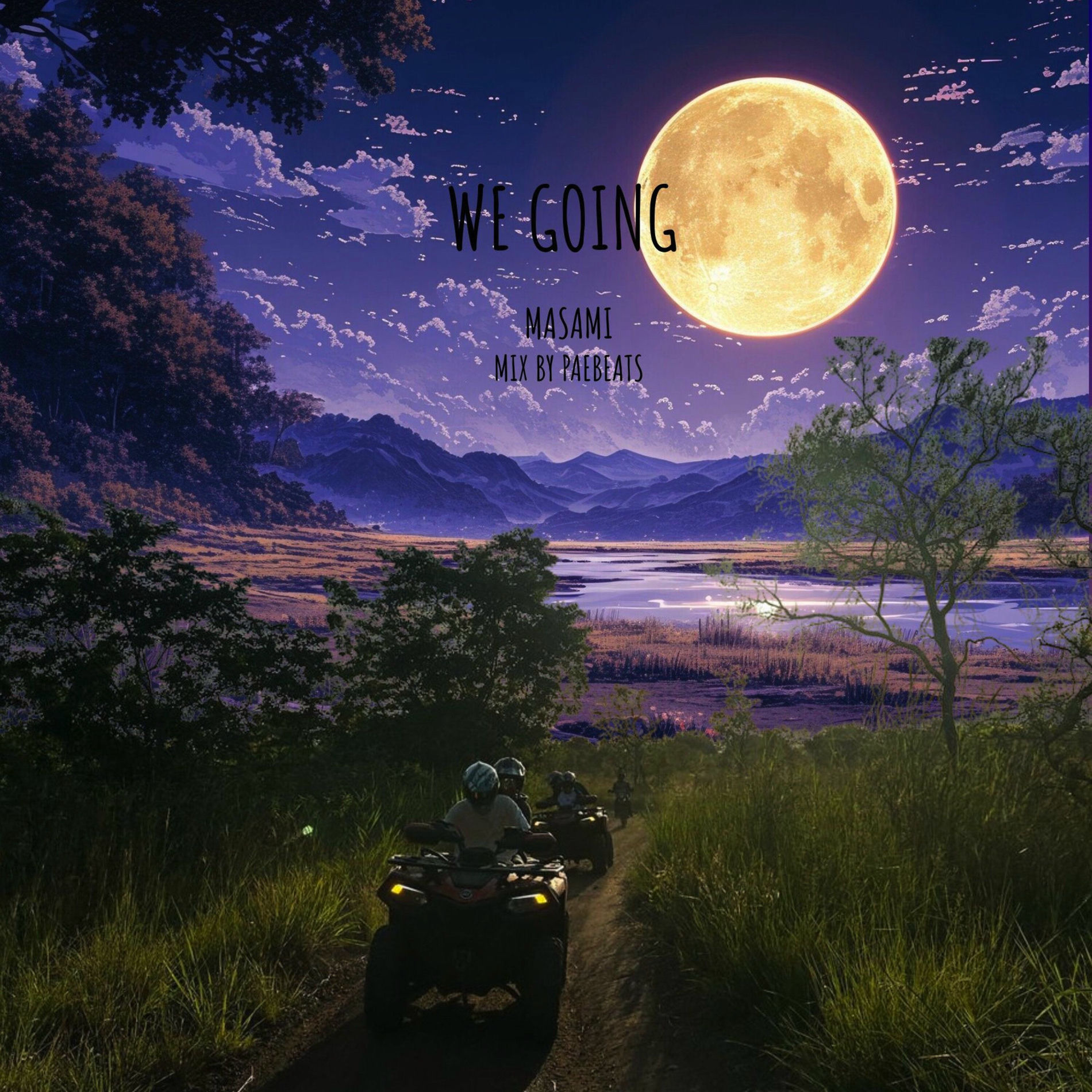 Album cover of We Going