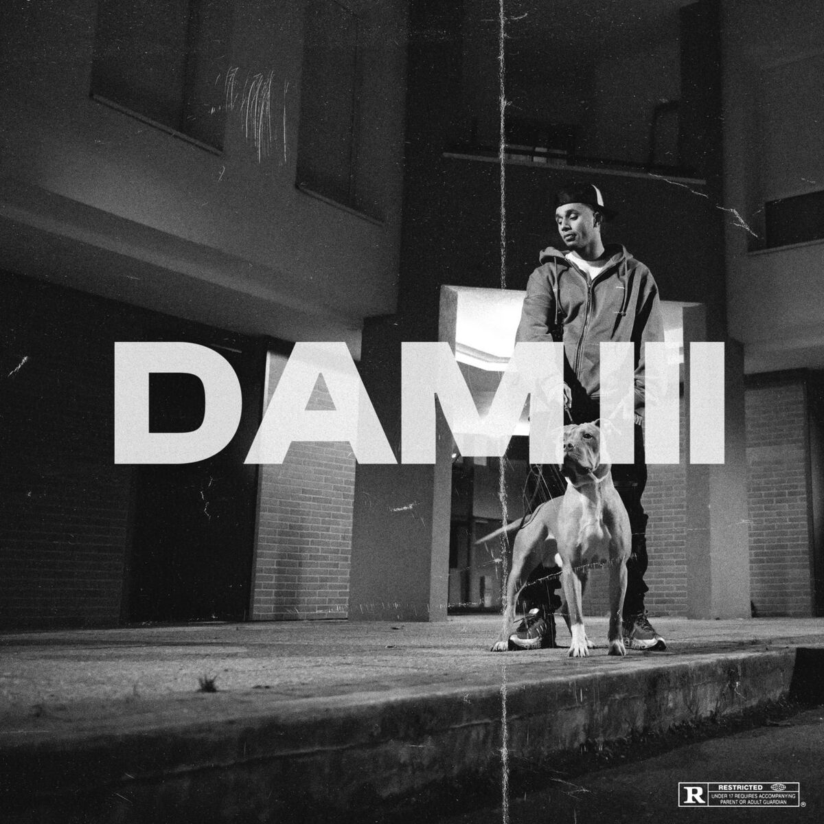 Album cover of DAM 3