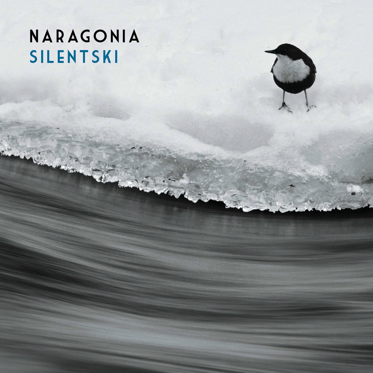 Album cover of Silentski