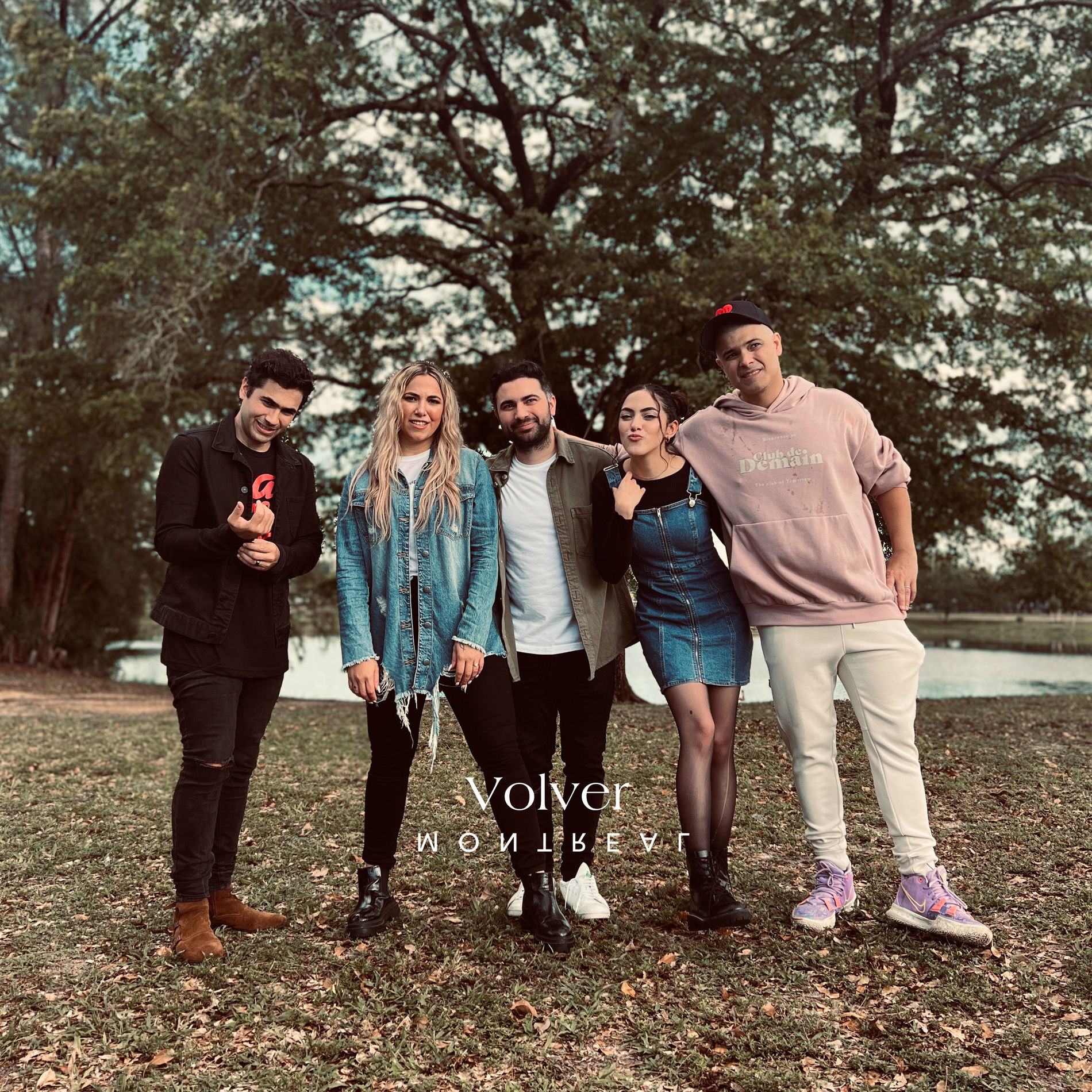 Album cover of Volver