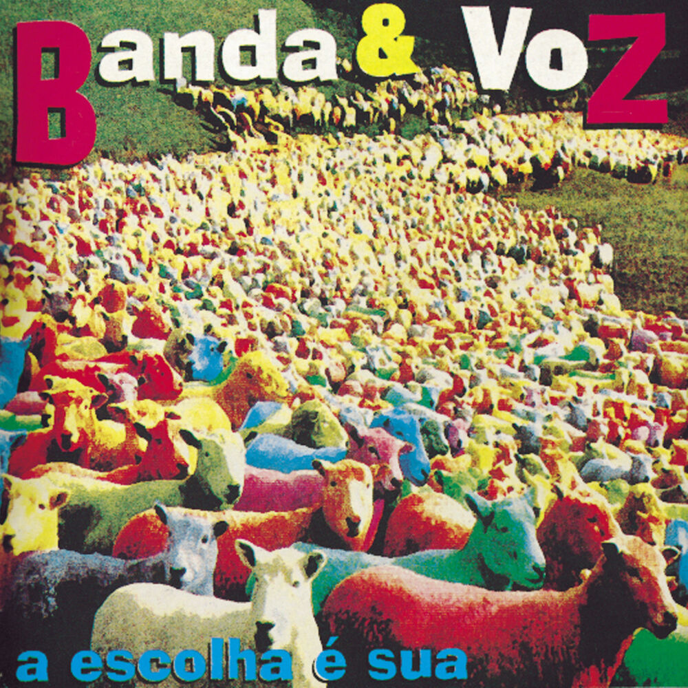 Picture of A Escolha é Sua
