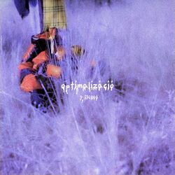 Cover of optimalizáció