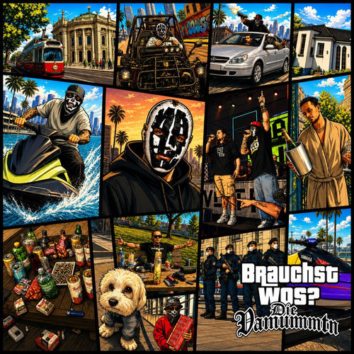 Brauchst Wos? (feat. Hias Ledger)