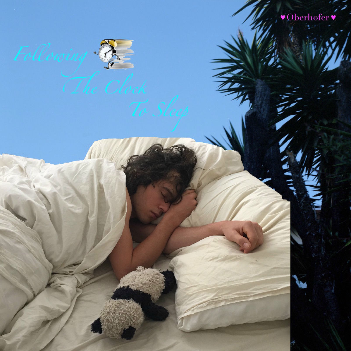 Album cover of Following the Clock to Sleep