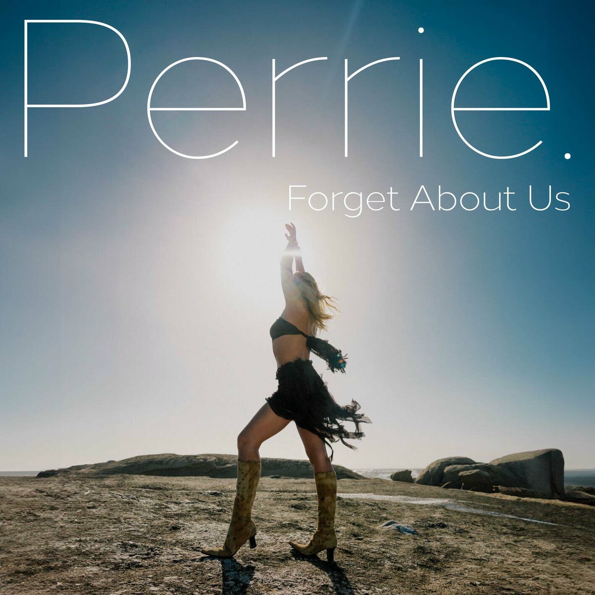 Album cover of Forget About Us