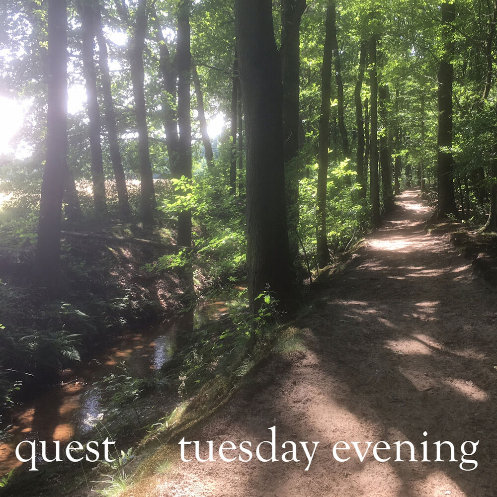 Picture of Tuesday Evening