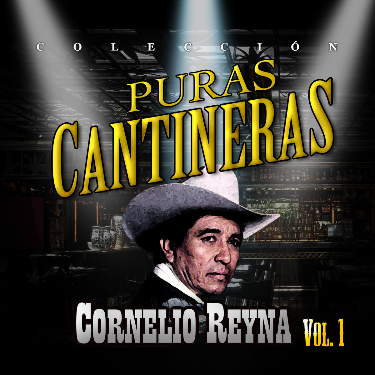 Album cover of Puras Cantineras, Vol. 1