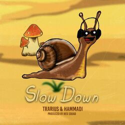 Cover of Slow Down