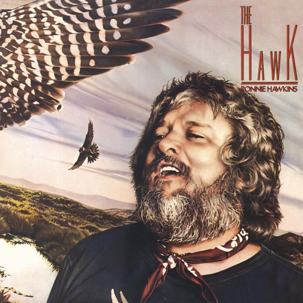 Picture of The Hawk