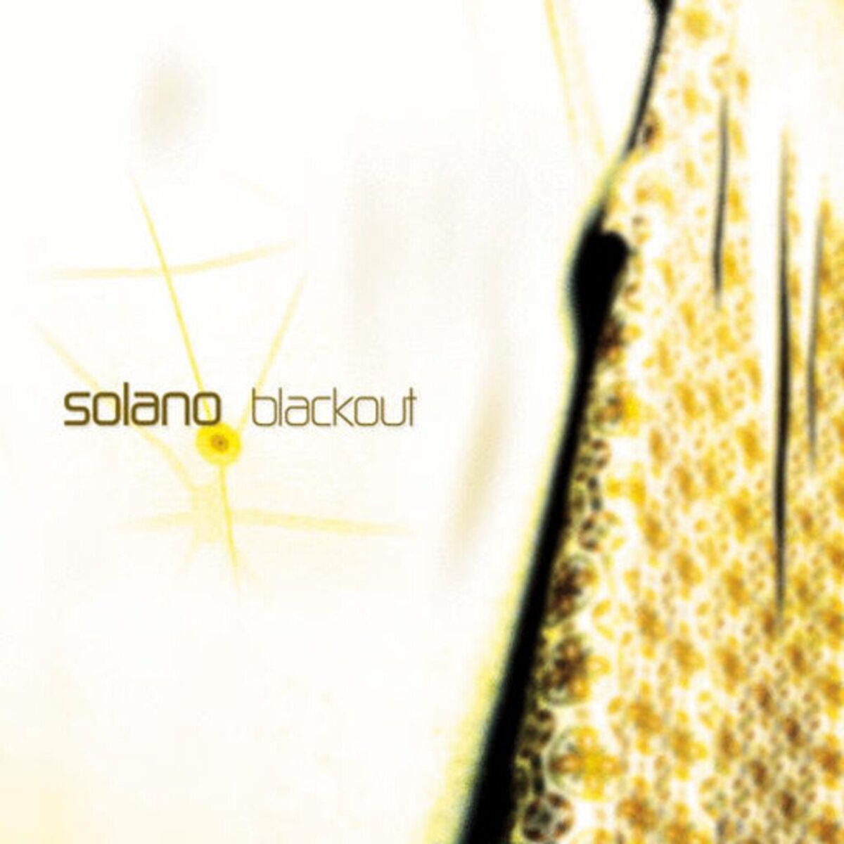 Album cover of Blackout