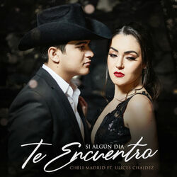 Cover of Si Algún Día Te Encuentro