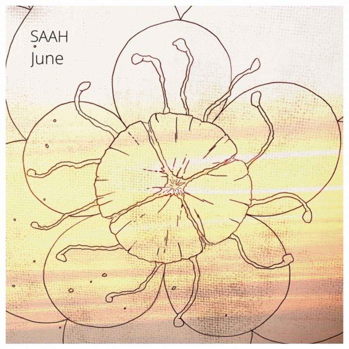 Album cover of June