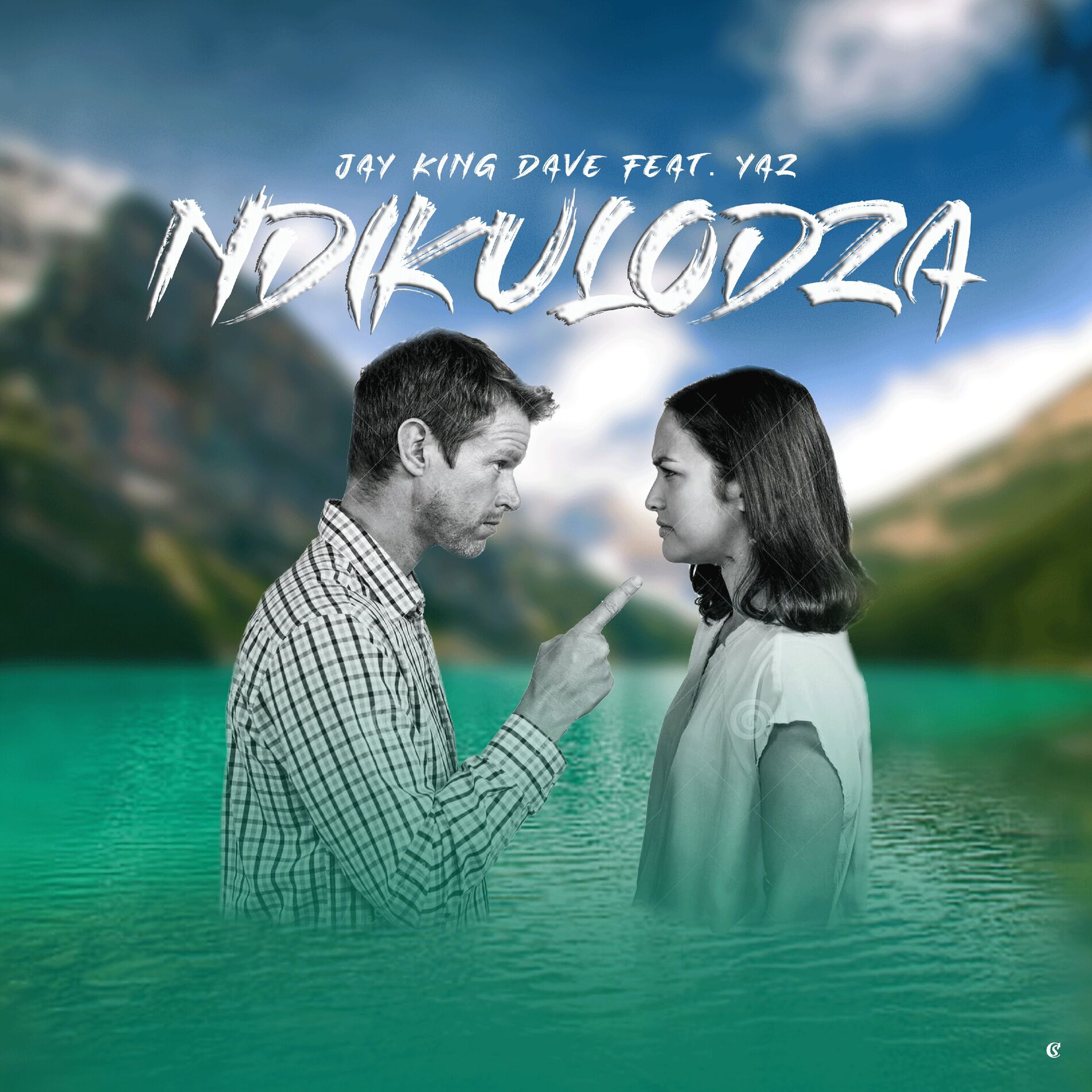 Album cover of Ndikulodza