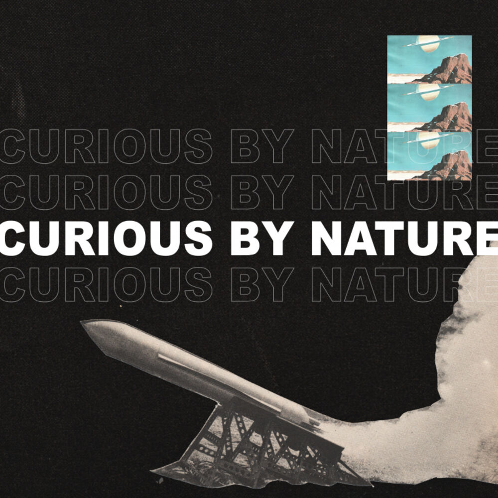 Picture of Curious By Nature
