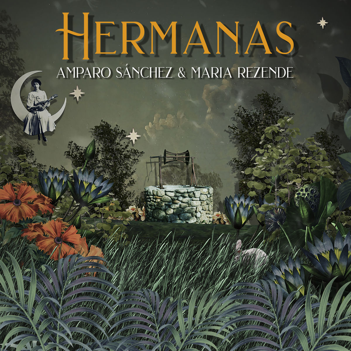 Album cover of Hermanas