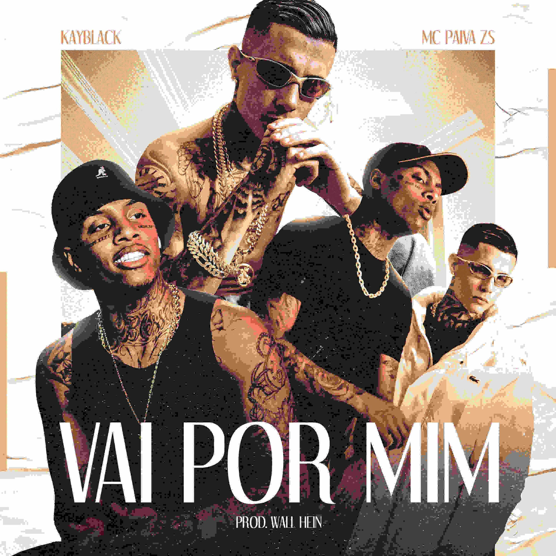 Album cover of VAI POR MIM
