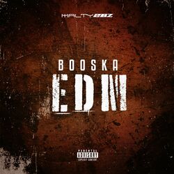 Cover of Booska EDM