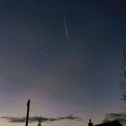 Cover of i'll wait by undefined