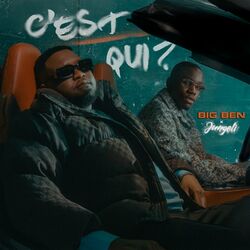 Cover of C'est qui ?