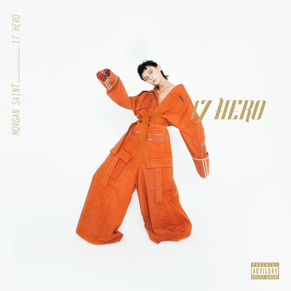 Album cover of 17 HERO