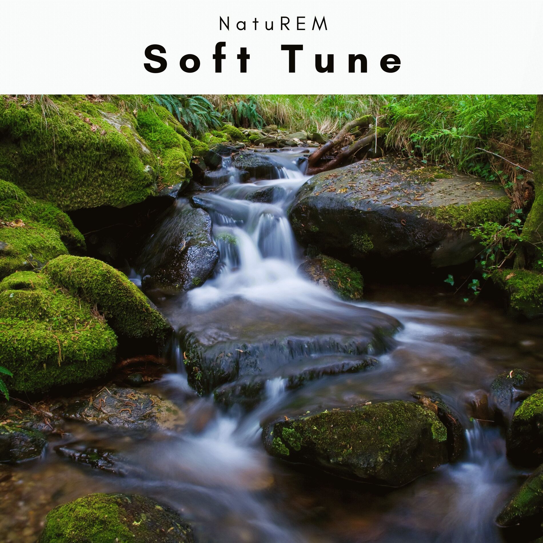Album cover of A Soft Tune