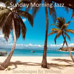 Cover of Soundscapes for Wellness