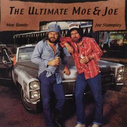 Cover of The Ultimate Moe & Joe