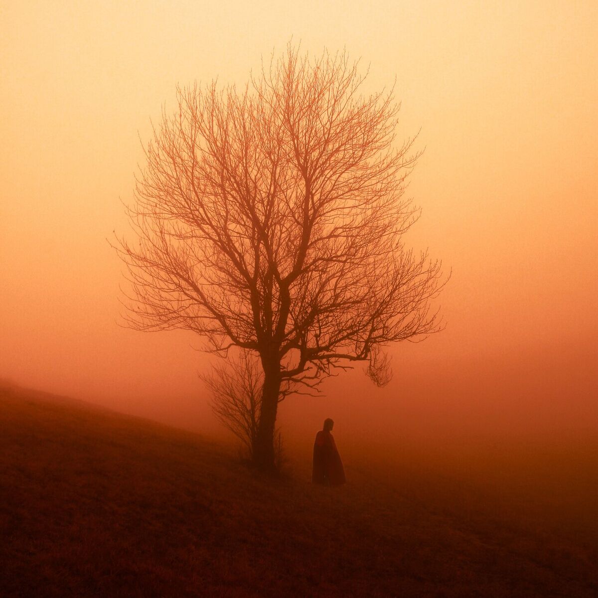 Album cover of interlinked