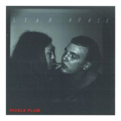 Cover of Pickle Plum