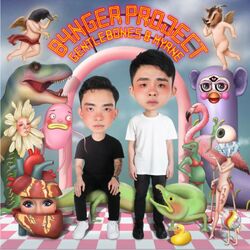 Cover of B4NGER PROJECT